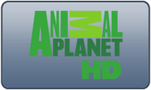 BR - ANIMAL PLANET UHD 4KOTT