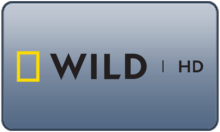 IN - NAT GEO WILD UHD 4KOTT