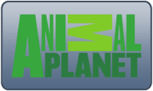 RUS - ANIMAL PLANET 4KOTT