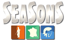 FR - SEASONS FHD 4KOTT