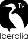 ES - IBERALIA TV 4KOTT