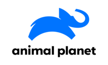 PL - ANIMAL PLANET HD 4KOTT