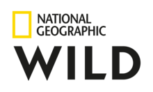 BE - NAT GEO WILD HD 4KOTT