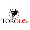 ES - TOROLE TV HD 4KOTT