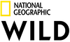 NL - NAT GEO WILD K 4KOTT